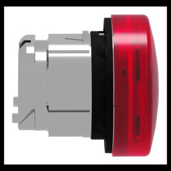  TETE VOYANT LUMINEUX 