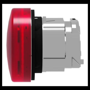  TETE VOYANT LUMINEUX 