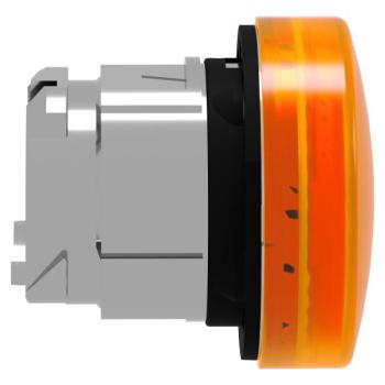  TETE VOYANT LUMINEUX 