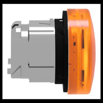  TETE VOYANT LUMINEUX 