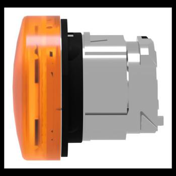  TETE VOYANT LUMINEUX 