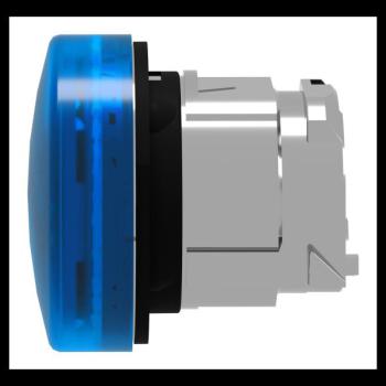  TETE VOYANT LUMINEUX 