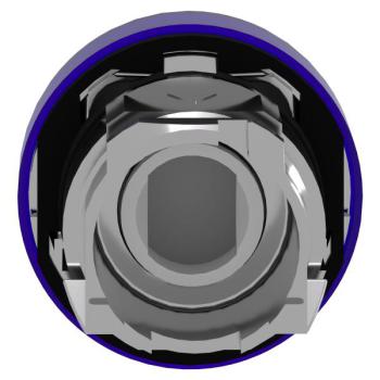  TETE VOYANT LUMINEUX 