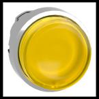  T�te B P lumin DEL d�p L O22 J 