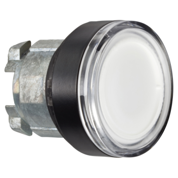  T�te BP lumineux personnalis�e 