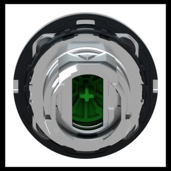  t�te BP flush marqu� vert 