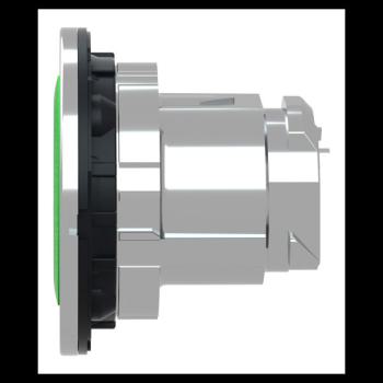  t�te BP flush marqu� vert 