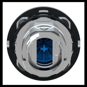  t�te BP flush bleu 