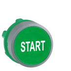  t�te BP O22 marqu� vert 