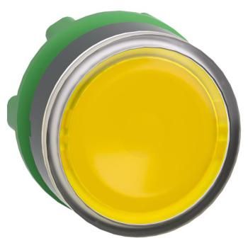  T�te B P lumin DEL �tq L O22 J 