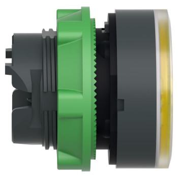  T�te B P lumin DEL aff O22 J 