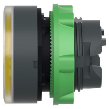  T�te B P lumin DEL aff O22 J 