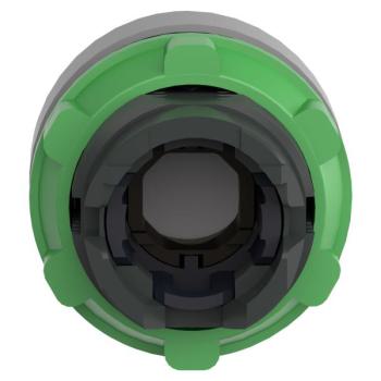  t�te BP pous-pous lumin blanc 