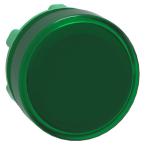  TETE VOYANT LUMINEUX 