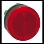  TETE VOYANT LUMINEUX 