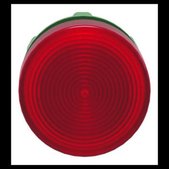  TETE VOYANT LUMINEUX 