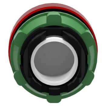  TETE VOYANT LUMINEUX 