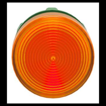  TETE VOYANT LUMINEUX 