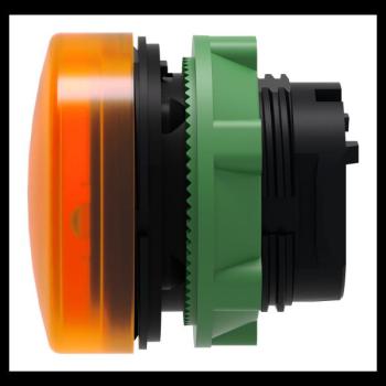  TETE VOYANT LUMINEUX 