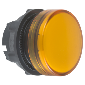  TETE VOYANT LUMINEUX 