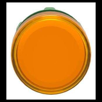  TETE VOYANT LUMINEUX 