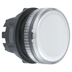  TETE VOYANT LUMINEUX 