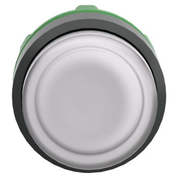  TETE POUSSOIR-LUMINEUX 