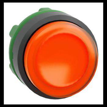  TETE POUSSOIR-LUMINEUX 