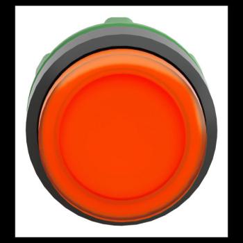  TETE POUSSOIR-LUMINEUX 