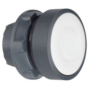  TETE POUSSOIR-LUMINEUX 