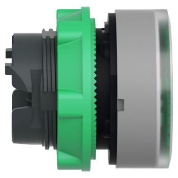  t�te BP lumineux O22 vert 