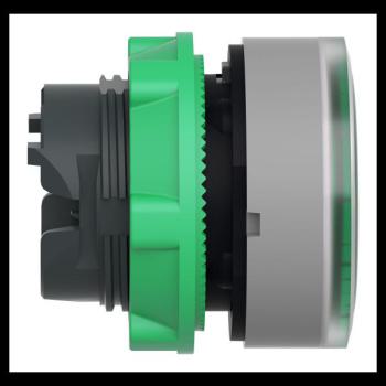  t�te BP lumineux O22 vert 