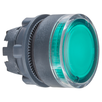  TETE POUSSOIR-LUMINEUX 