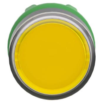  T�te B P lumin DEL aff L O22 J 