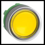  T�te B P lumin DEL aff C O22 J 