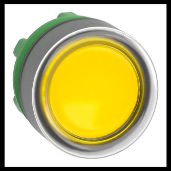  T�te B P lumin DEL aff C O22 J 