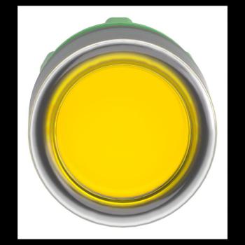  T�te B P lumin DEL aff C O22 J 