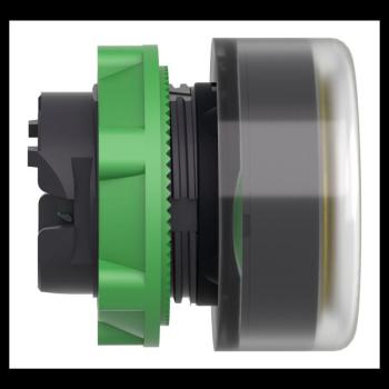  T�te B P lumin DEL aff C O22 J 