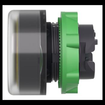  T�te B P lumin DEL aff C O22 J 