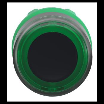  TETE POUSSOIR-LUMINEUX 