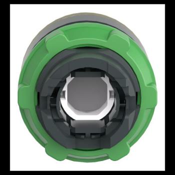  T�te B P lumin DEL aff A O22 J 