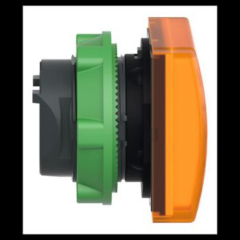  TETE VOYANT LUMINEUX 