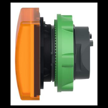  TETE VOYANT LUMINEUX 