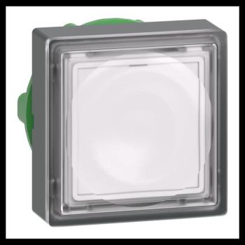  TETE POUSSOIR-LUMINEUX 