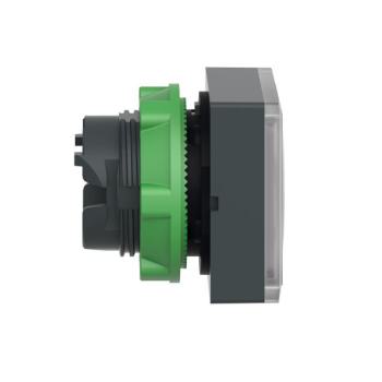  TETE POUSSOIR-LUMINEUX 