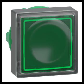  TETE POUSSOIR-LUMINEUX 