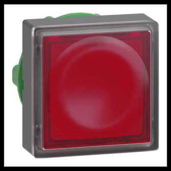  TETE POUSSOIR-LUMINEUX 