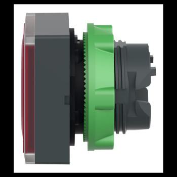  TETE POUSSOIR-LUMINEUX 