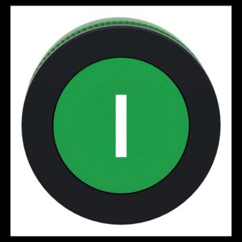  t�te BP flush marqu� vert 