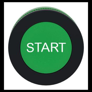  t�te BP flush marqu� vert 